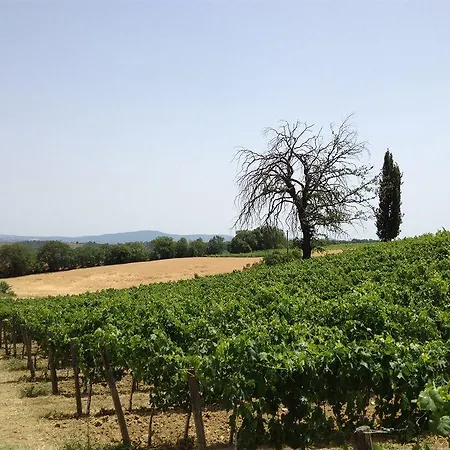 Casa Del Colombaio * San Gimignano