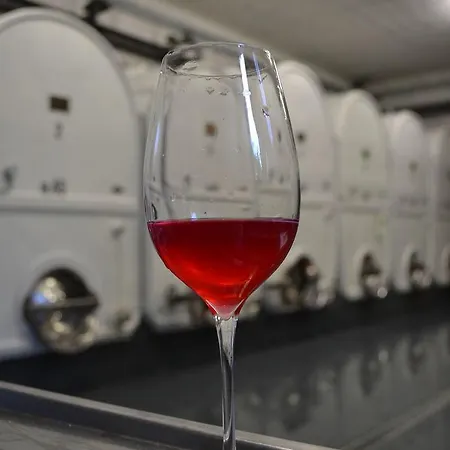 Casa Del Colombaio * San Gimignano