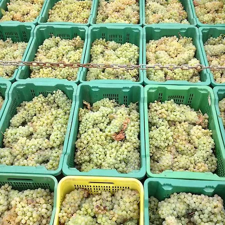 Farmház Casa Del Colombaio San Gimignano