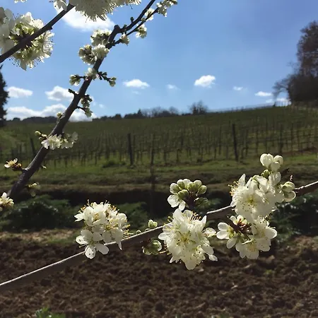 Casa Del Colombaio San Gimignano