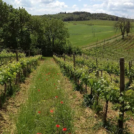 Casa Del Colombaio * San Gimignano