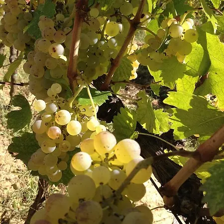 Farmház Casa Del Colombaio