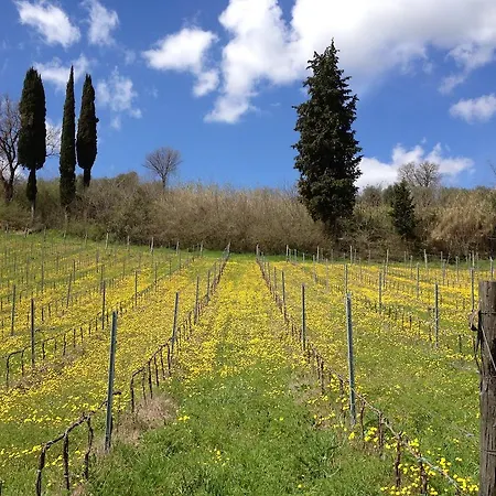 Casa Del Colombaio Farmház San Gimignano