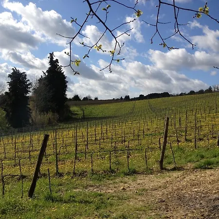 Casa Del Colombaio Farmház
