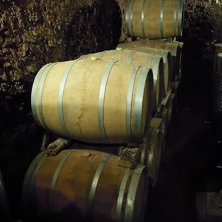 Casa Del Colombaio San Gimignano